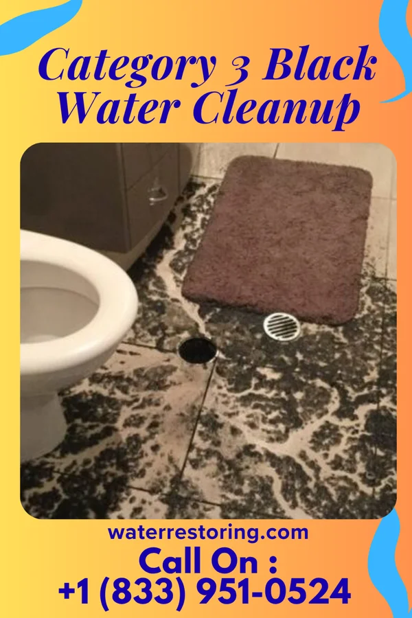 Category 3 Black Water Cleanup in South Laurel, MD