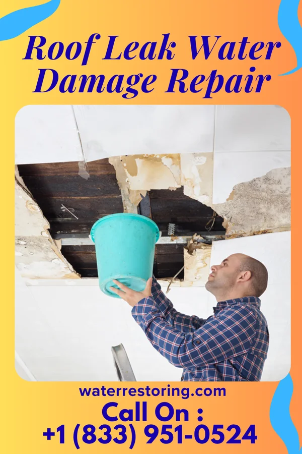 Roof Leak Water Damage Repair in South Laurel, MD