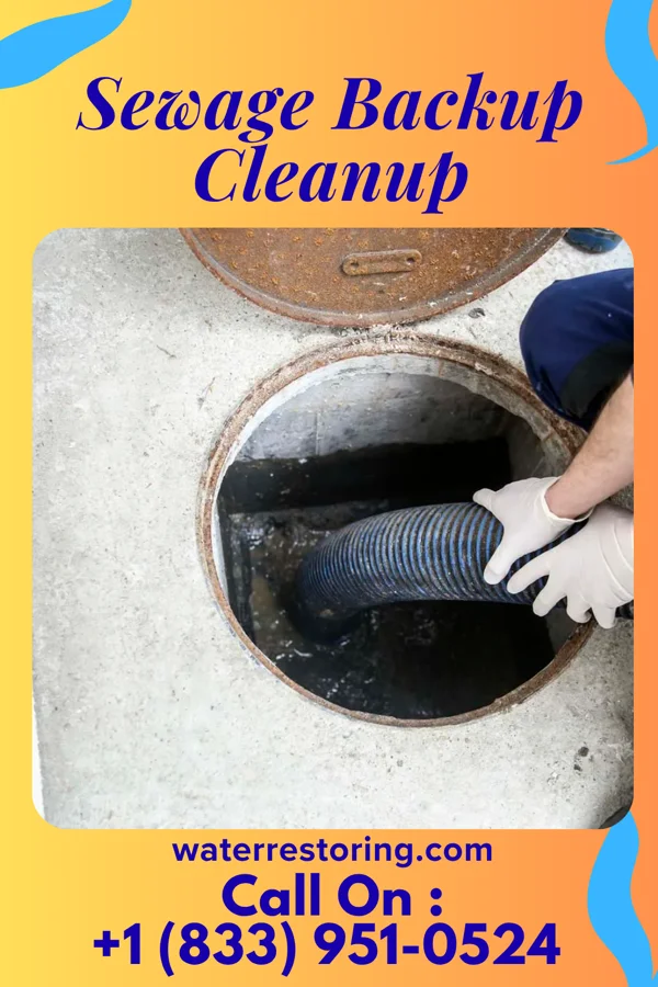 Sewage Backup Cleanup in South Laurel, MD